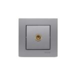 ویرا ساده نقره ای فیش آنتن